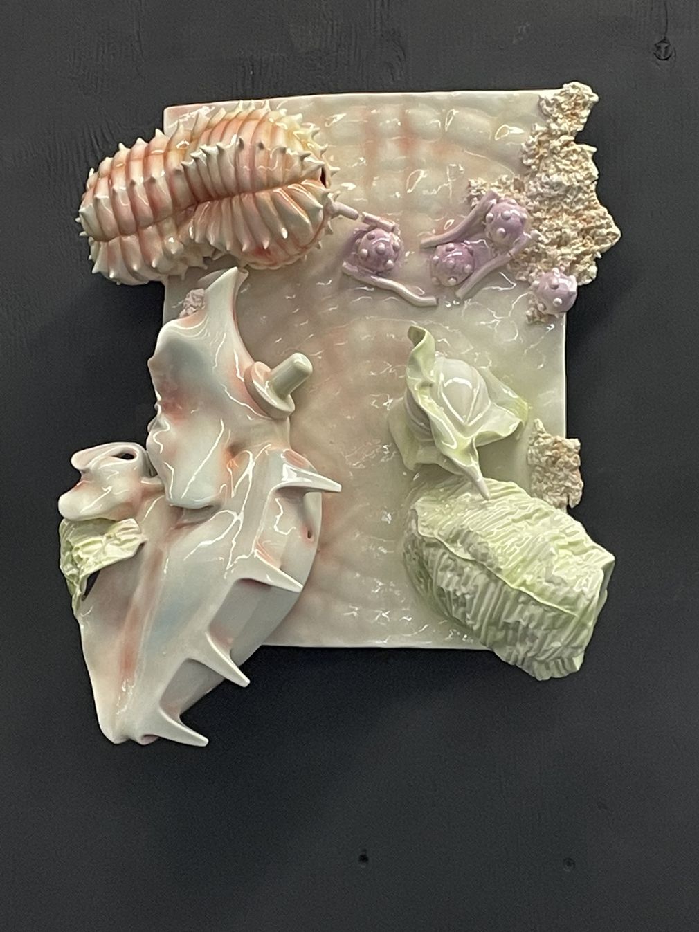 Dianehaefner diplom23